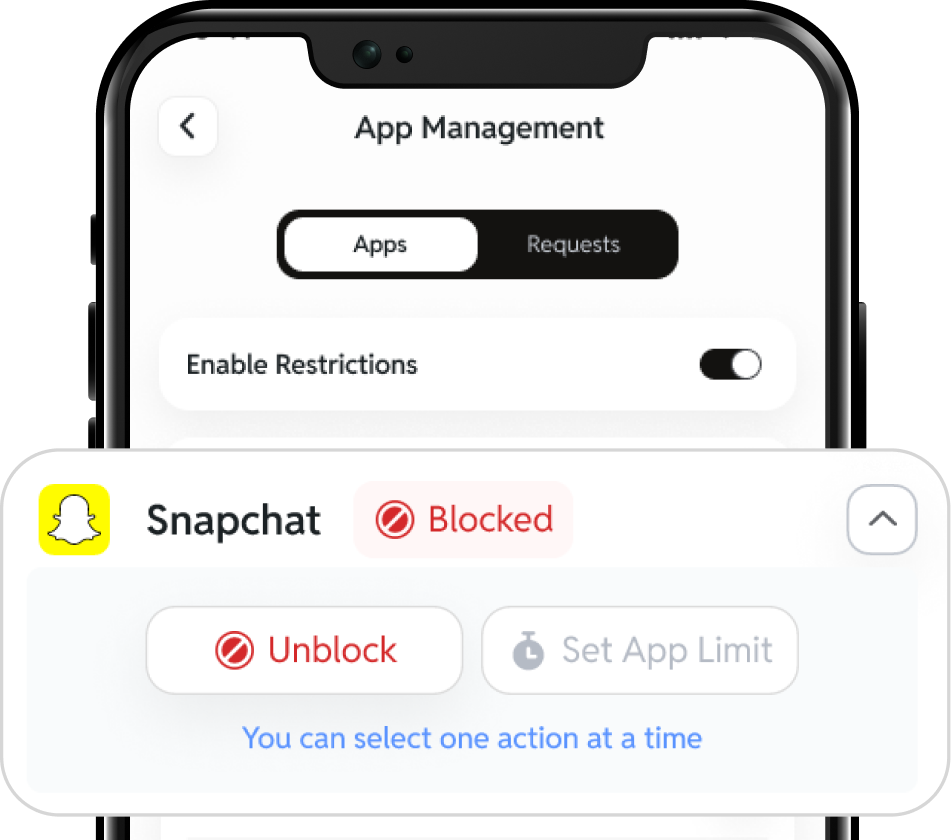 App management interface