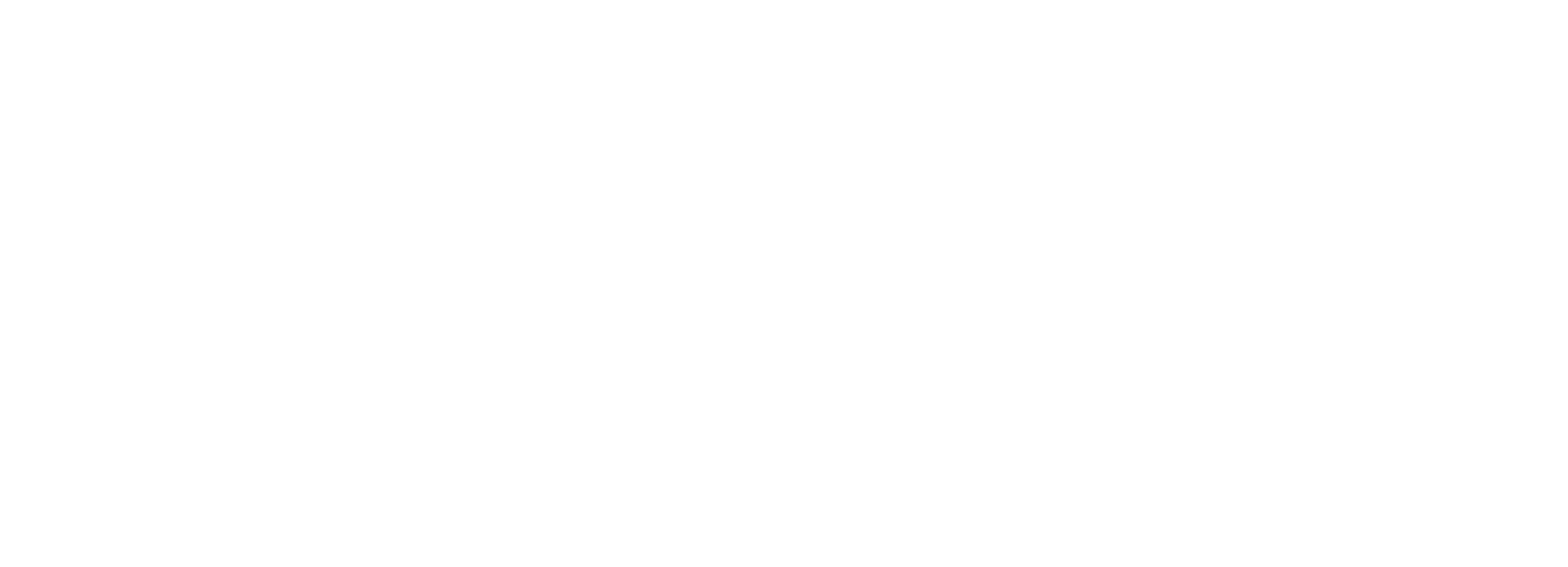 PW Logo